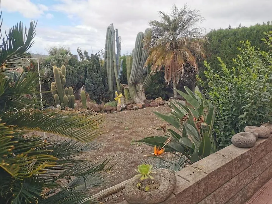 Los Cactus Santa Cruz de Tenerife