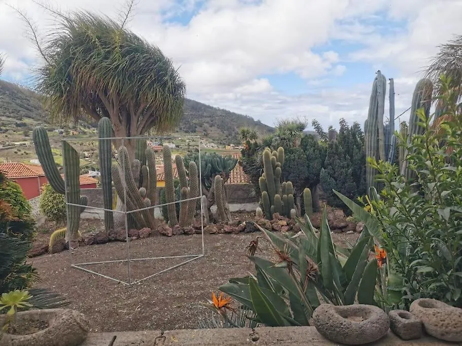 Los Cactus Santa Cruz de Tenerife Lejlighed